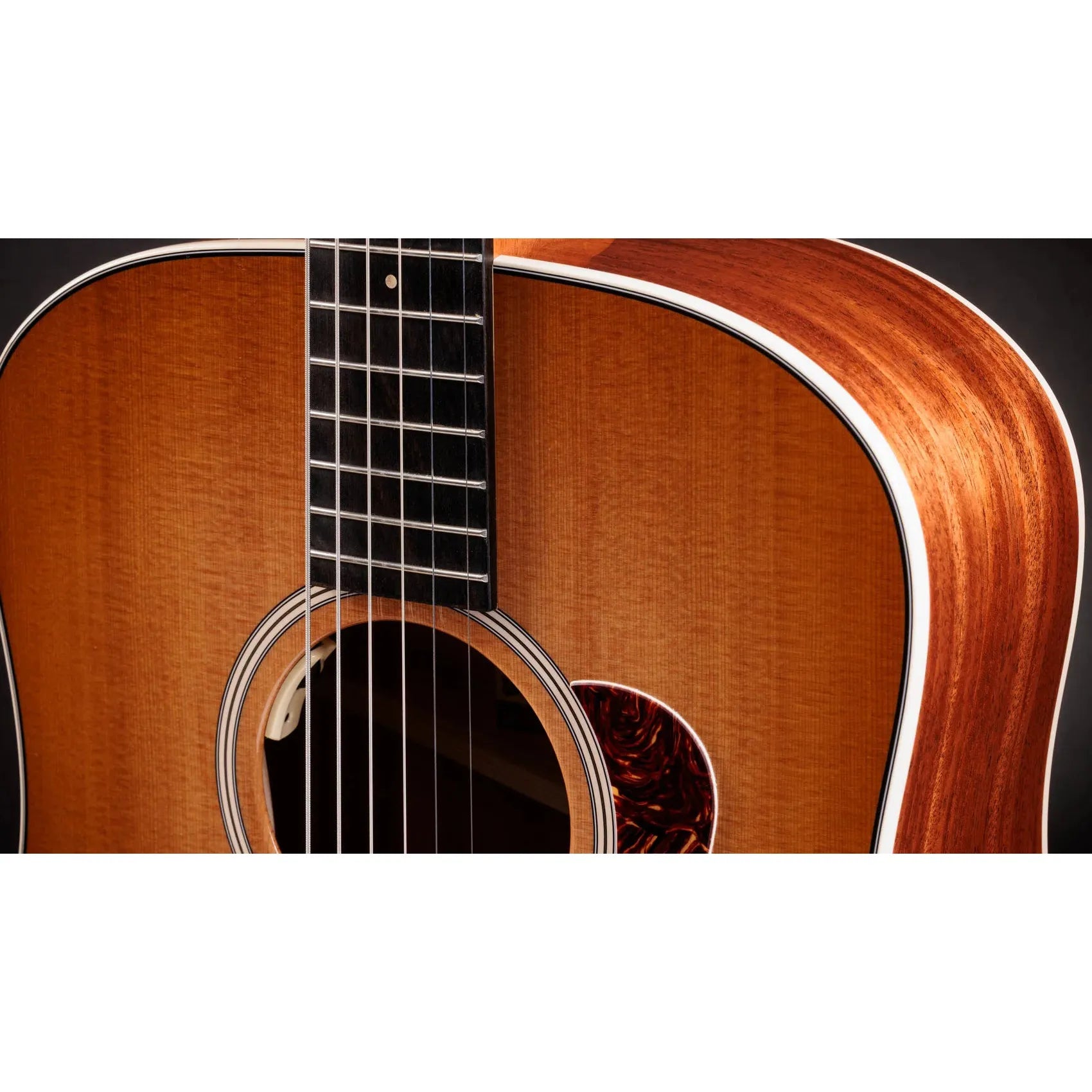 Đàn Guitar Acoustic Taylor 510e Trey Hensley Gold Label Special Edition - Việt Music