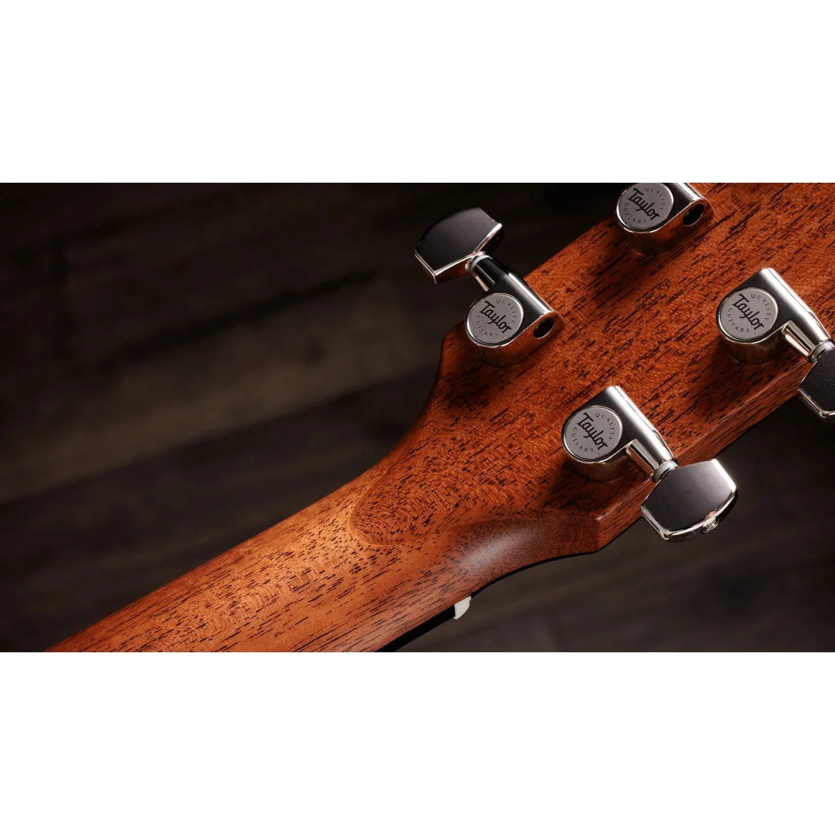 Đàn Guitar Acoustic Taylor 510e Trey Hensley Gold Label Special Edition - Việt Music