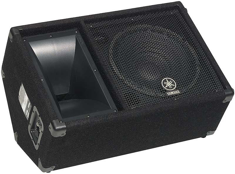 The Yamaha SM12V Club Series V Monitor