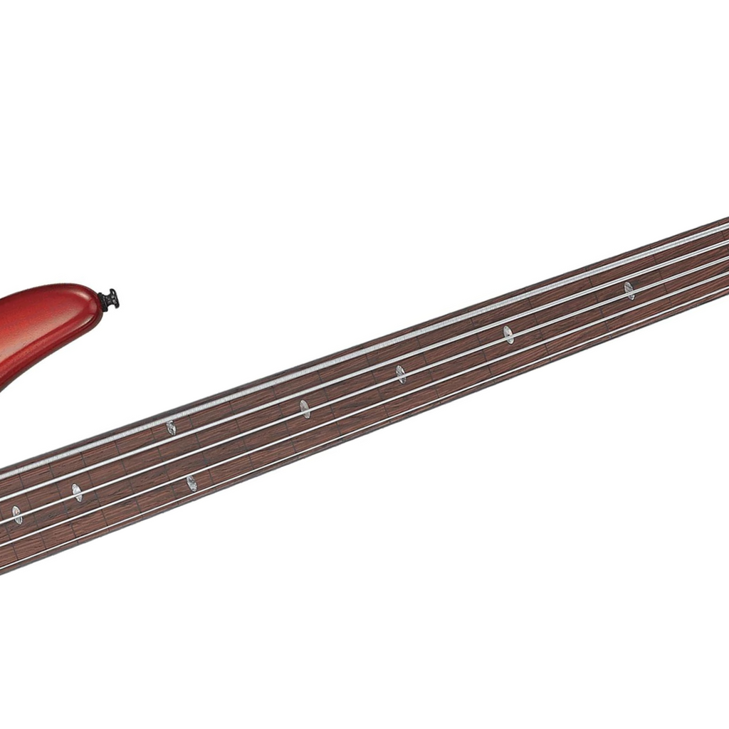 Đàn Guitar Bass Ibanez SRD905F - SR Workshop SS, Panga Panga Fingerboard, Brown Topaz Burst Low Gloss - 5 Strings