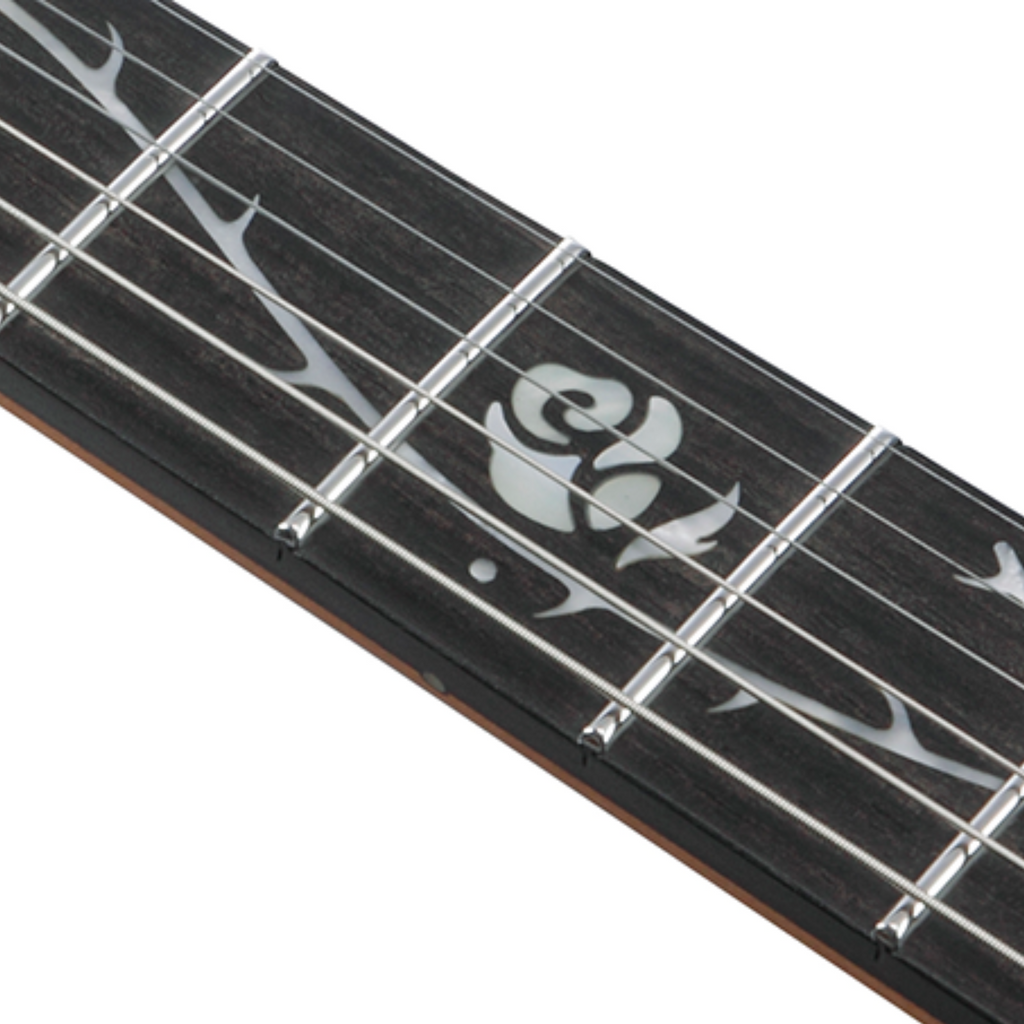 Đàn Guitar Điện Ibanez TOD10 - Tim Henson Signature HH, Ebony Fingerboard