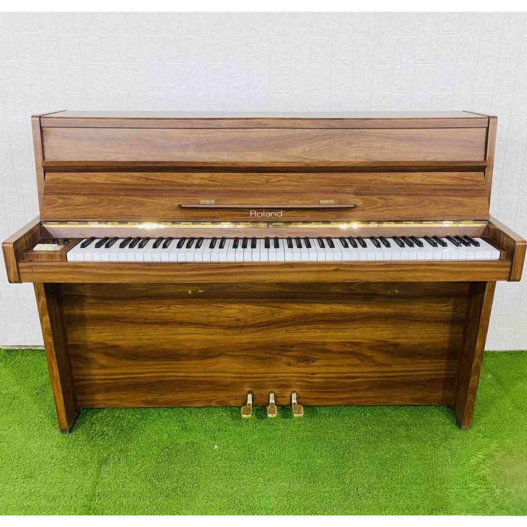 Đàn Piano Điện Giả Cơ