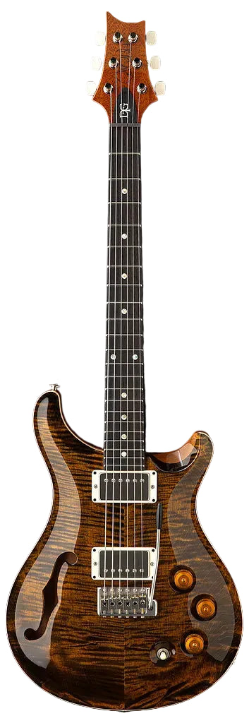 Đàn Guitar Điện PRS Core DGT Semi-Hollow HH, Rosewood Fingerboard (2026) - Việt Music