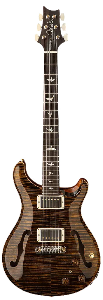Đàn Guitar Điện PRS Core Hollowbody II Piezo 10-Top HH, Rosewood Fingerboard (2025) - Việt Music