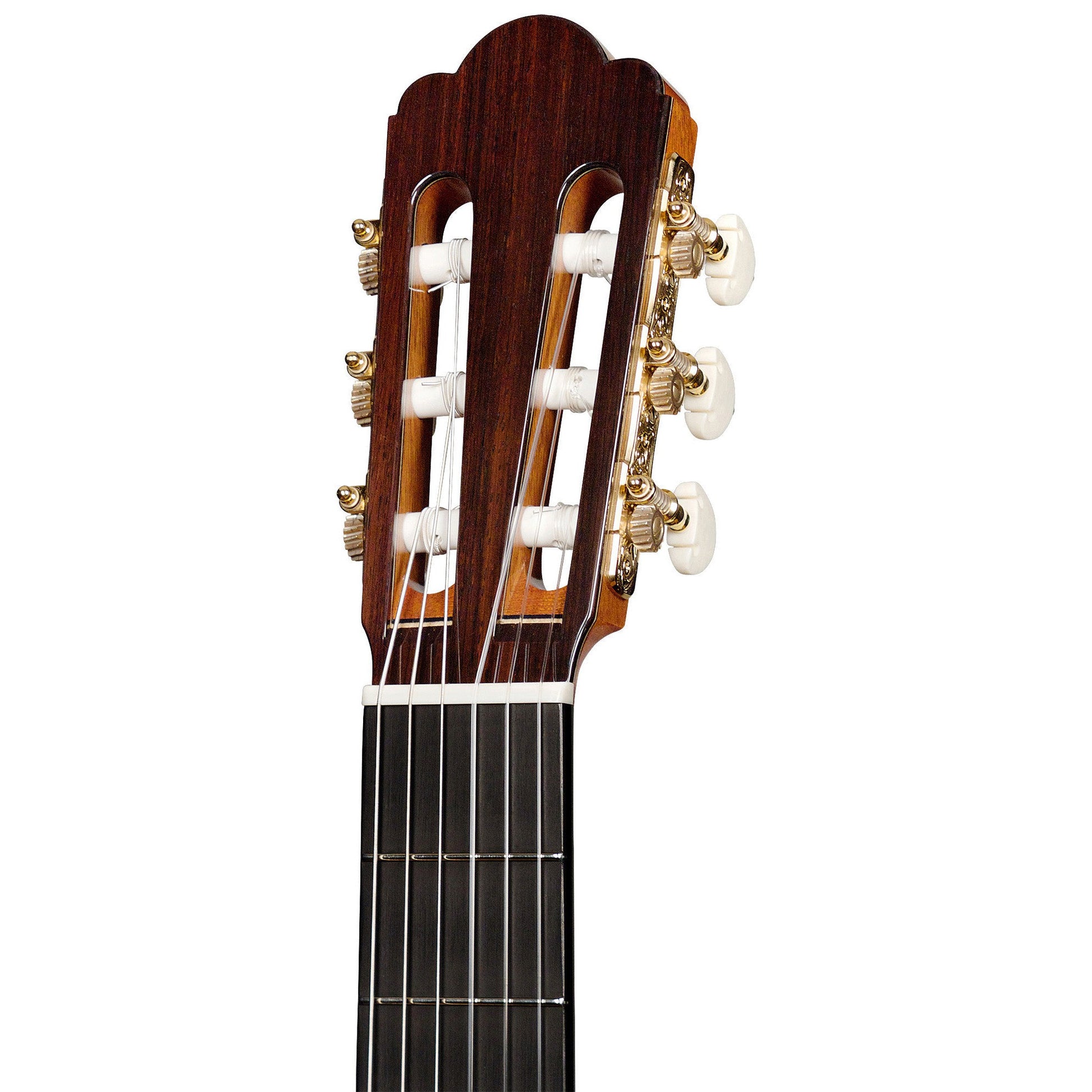 Đàn Guitar Classic Asturias Renaissance Cedar - Việt Music