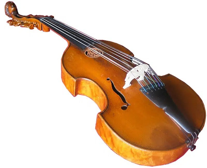 Viola D’Amore