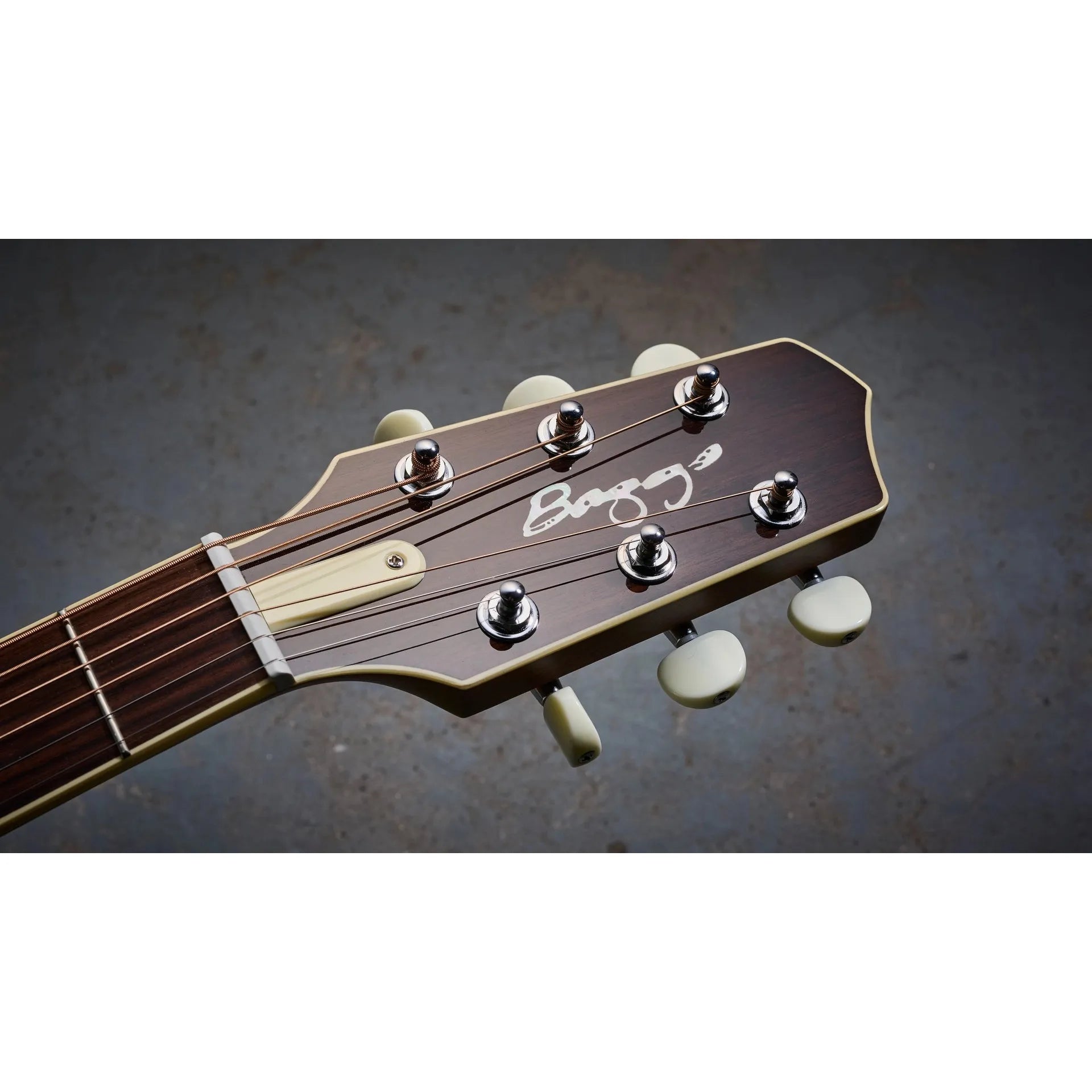 Đàn Guitar Acoustic LR Baggs AEG-1 - Việt Music