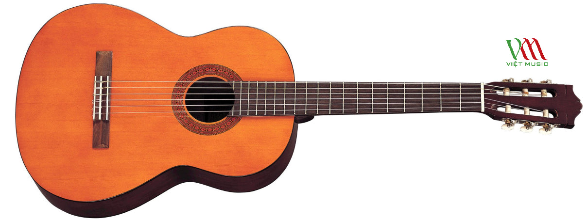 Top 10 Đàn Guitar Giá Rẻ Nhưng Chất Lượng Không Đối Thủ