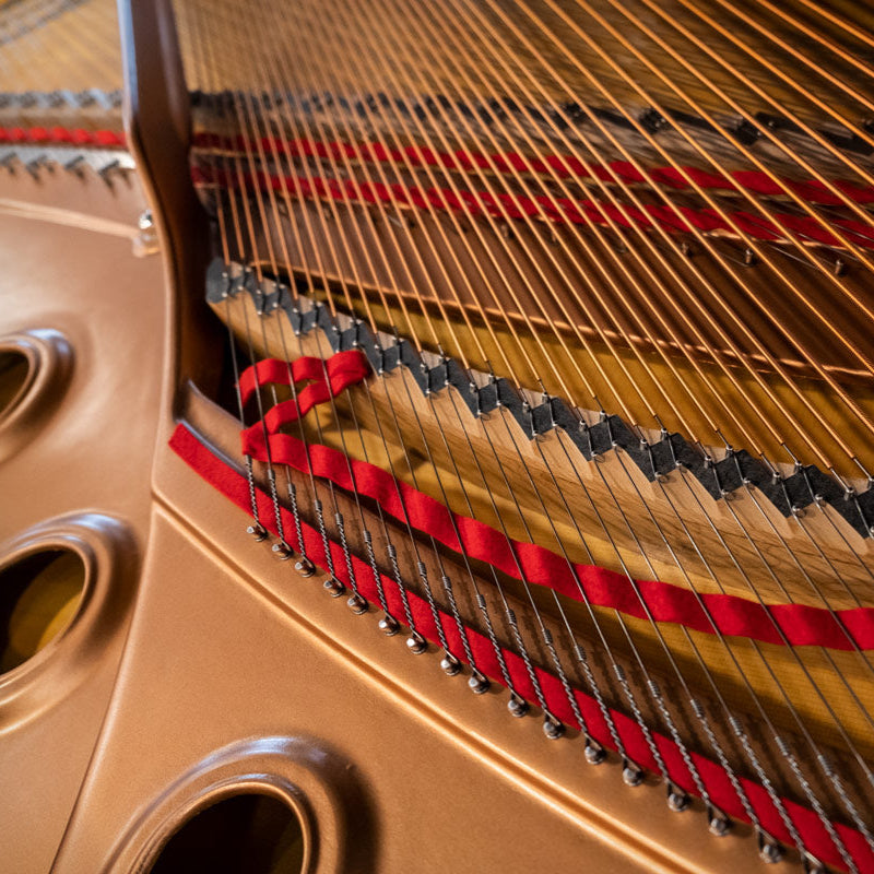 Grand Piano Yamaha C7 PE - C Series - Qua Sử Dụng - Việt Music