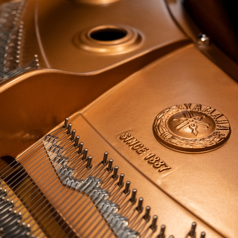 Grand Piano Yamaha C7 PE - C Series - Qua Sử Dụng - Việt Music