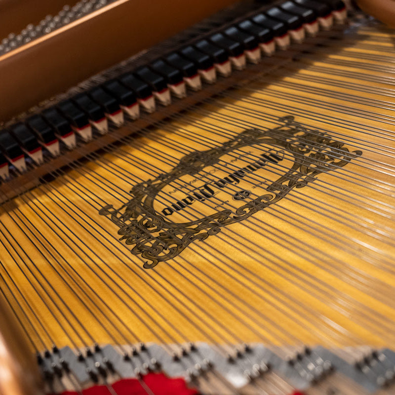 Grand Piano Yamaha C7 PE - C Series - Qua Sử Dụng - Việt Music