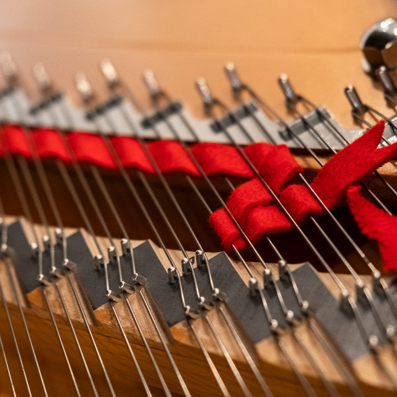 Grand Piano Yamaha C7 PE - C Series - Qua Sử Dụng - Việt Music