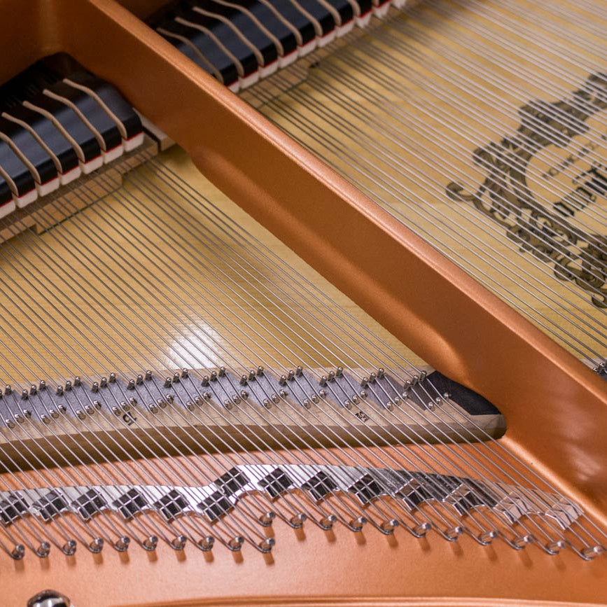 Grand Piano Yamaha GC2 - Qua Sử Dụng - Việt Music