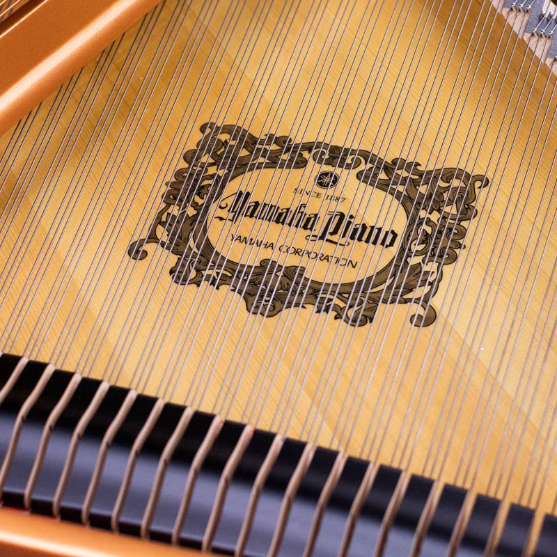 Grand Piano Yamaha GC2 - Qua Sử Dụng - Việt Music