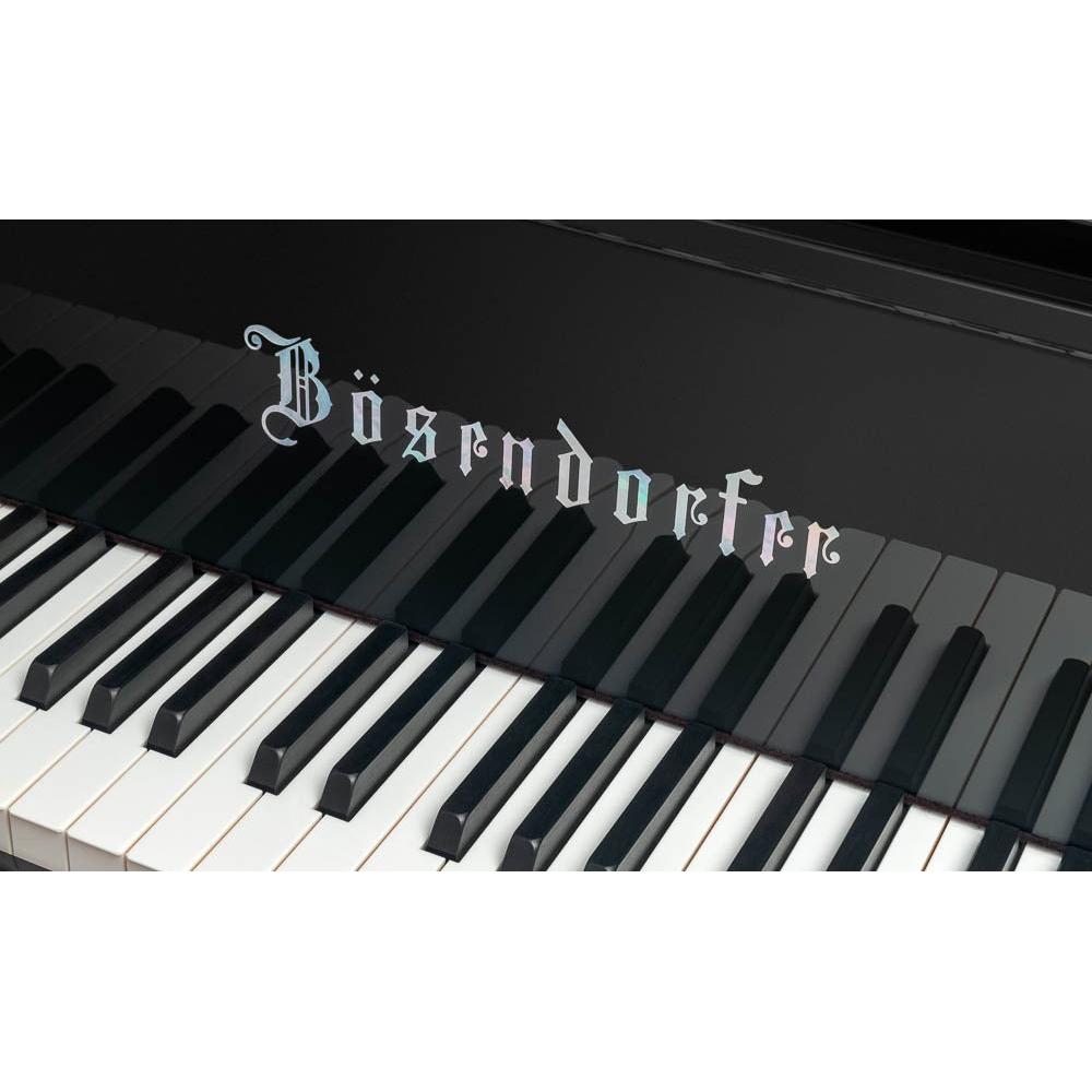 Grand Piano Bösendorfe 250 Years Beethoven - Việt Music