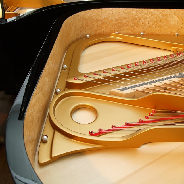 Grand Piano Steingraeber & Söhne B-192 - Salon Concert Grand - Việt Music