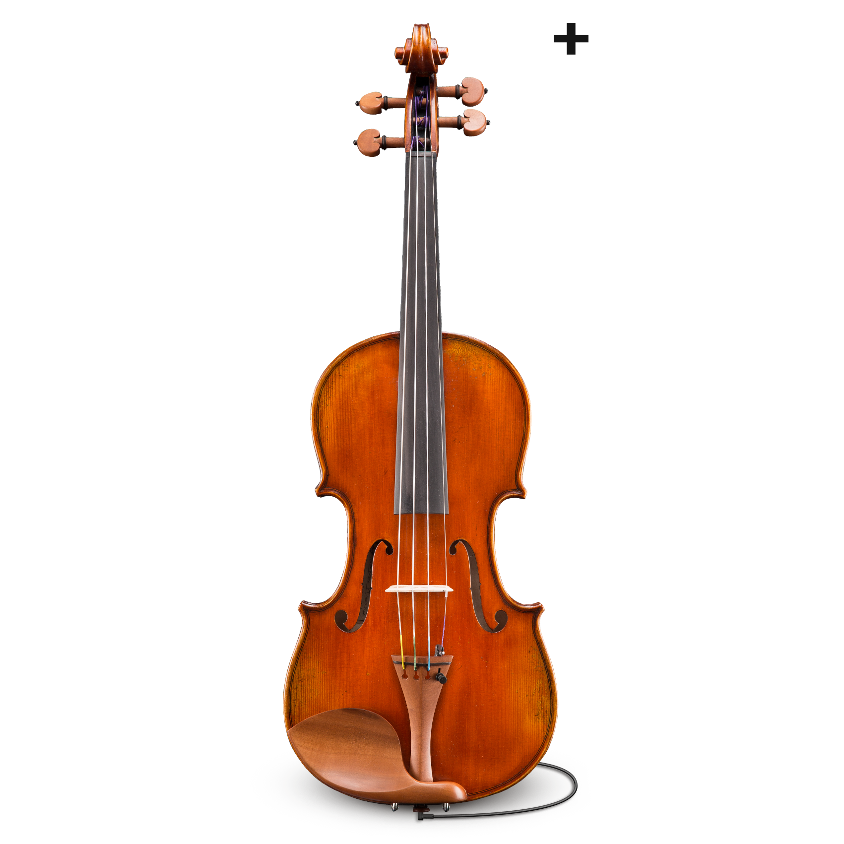 Đàn Violin Andreas Eastman Series+ VL405+ 1/2 - Việt Music