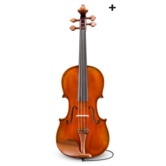 Đàn Violin Andreas Eastman Series+ VL405+ 1/2 - Việt Music