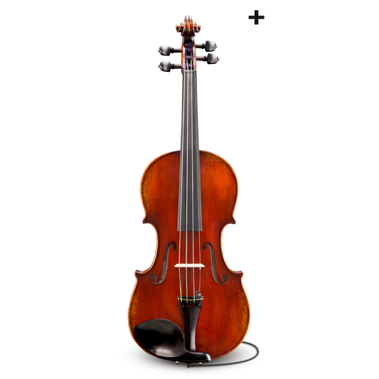 Đàn Violin Eastman Jean-Pierre Lupot Series+ VL501+ 7/8 - Việt Music