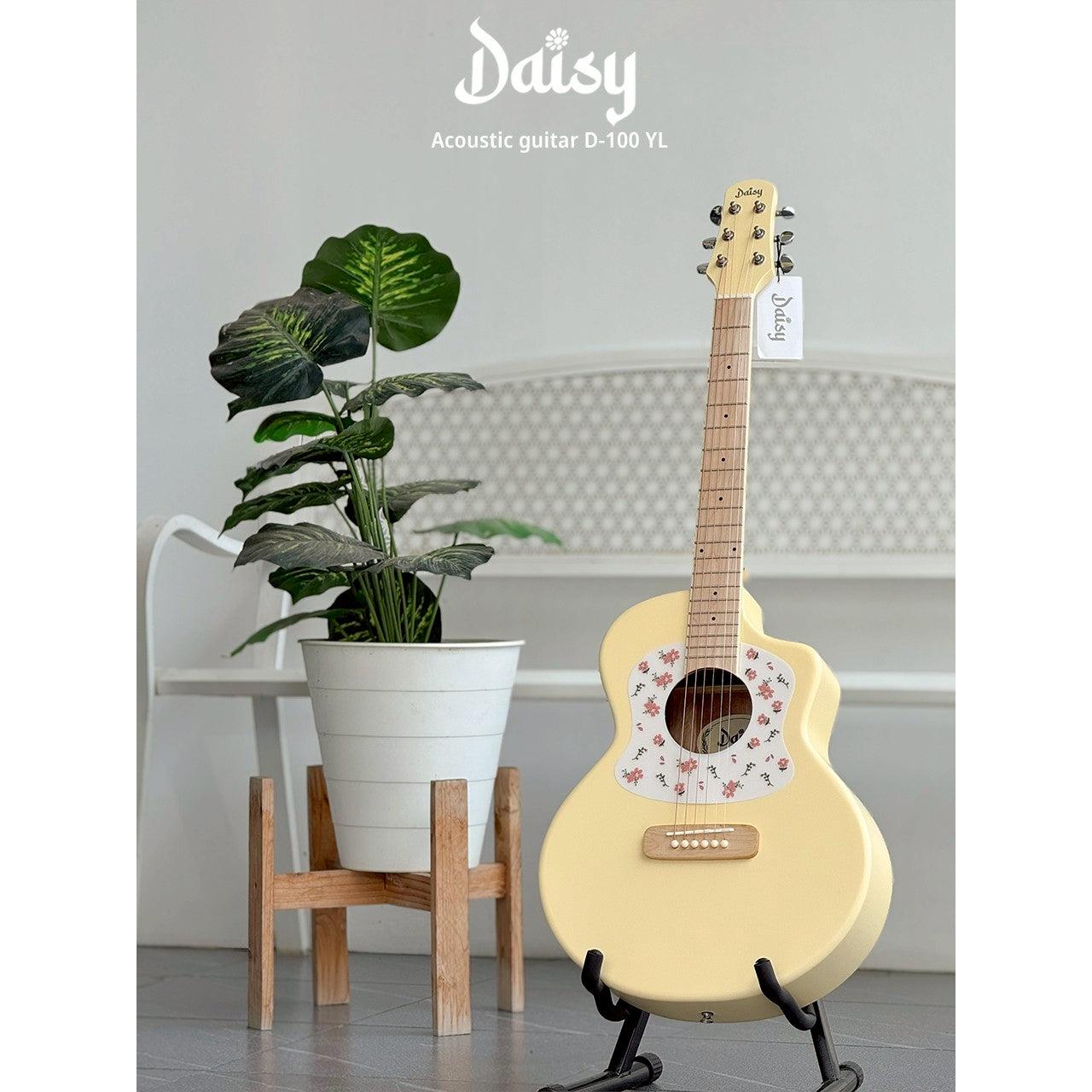 Đàn Guitar Acoustic Daisy D-100 - Việt Music