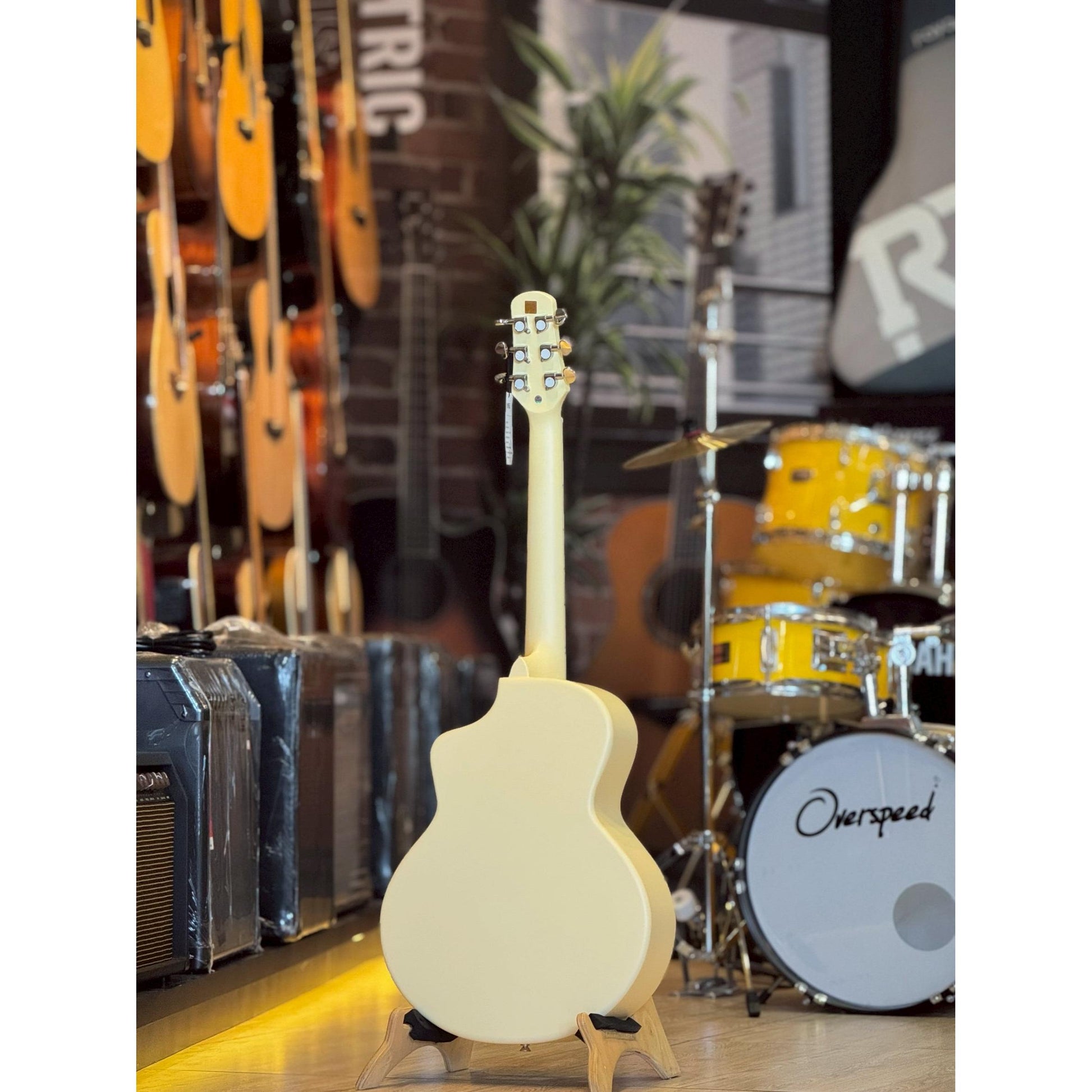 Đàn Guitar Acoustic Daisy D-100 - Việt Music