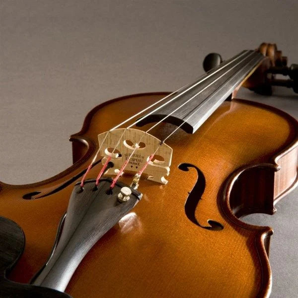 Pickup Violin Fishman Classic Series V-300 Professional - Việt Music