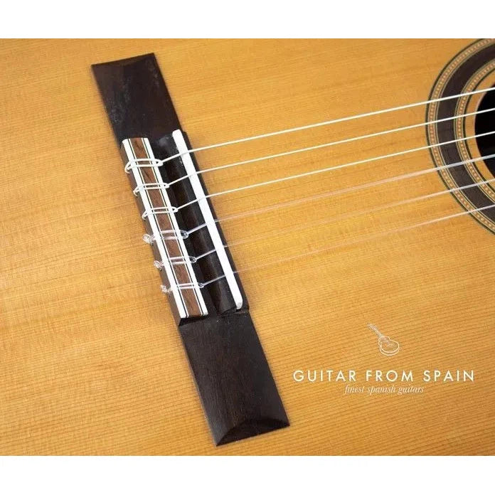 Đàn Guitar Classic Admira Virtuoso ECF - Việt Music