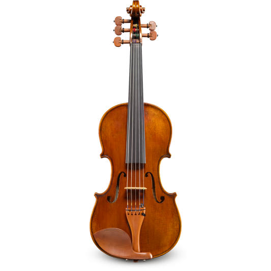 Đàn Violin Andreas Eastman VL4055 4/4 - Việt Music