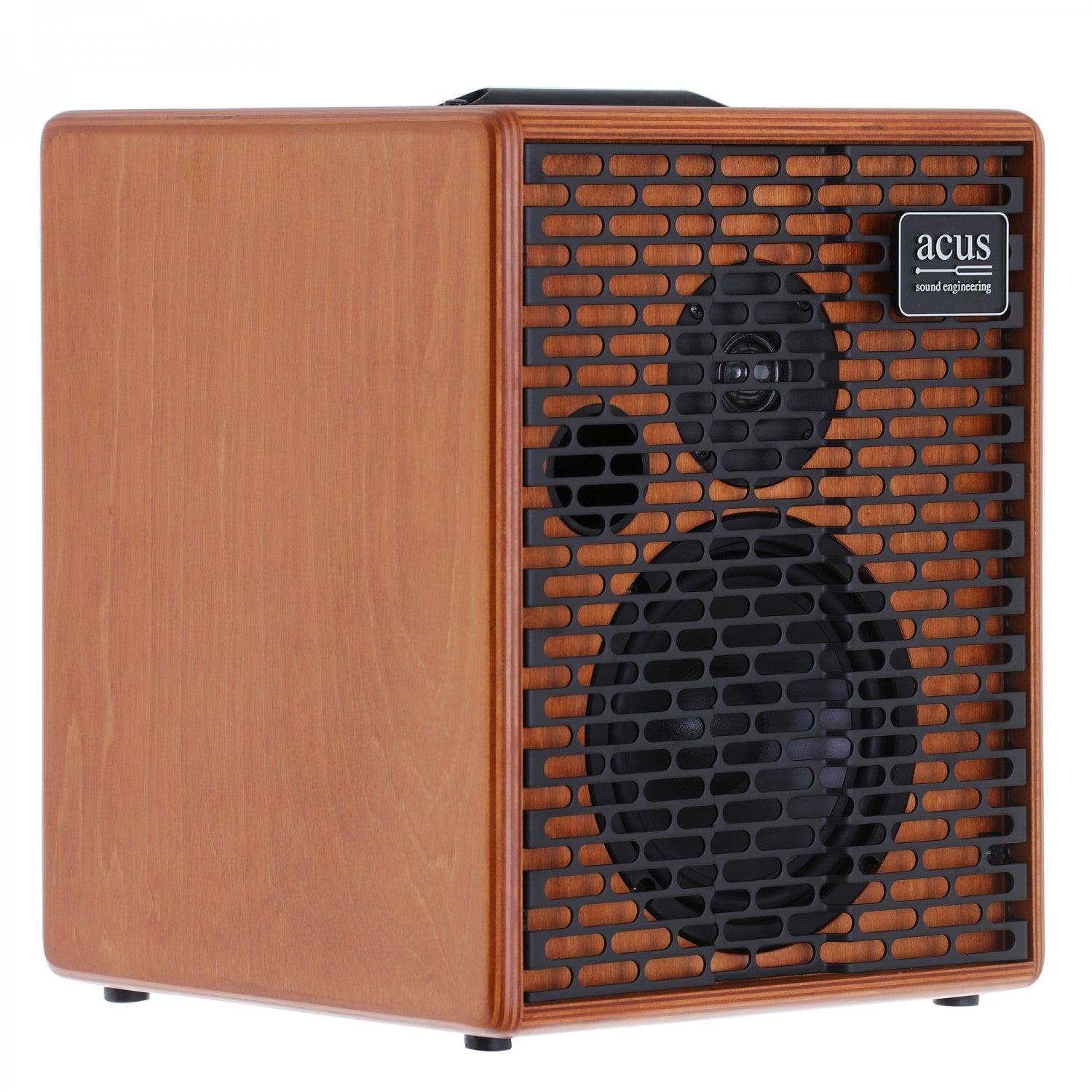 Amplifier Acus One Forstrings 6T, Combo - Việt Music