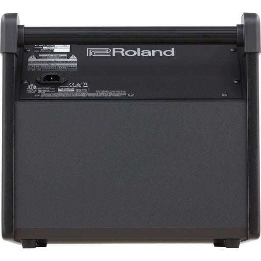 Amplifier Roland PM100, Combo - Việt Music