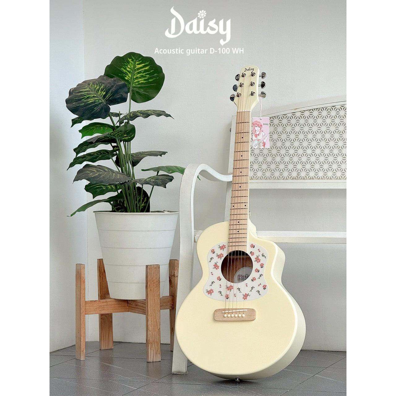 Đàn Guitar Acoustic Daisy D-100 - Việt Music