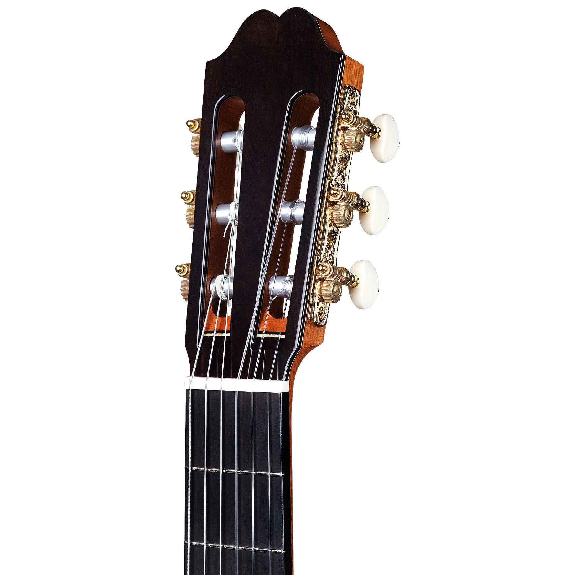 Đàn Guitar Classic Asturias Double Top Cedar - Việt Music