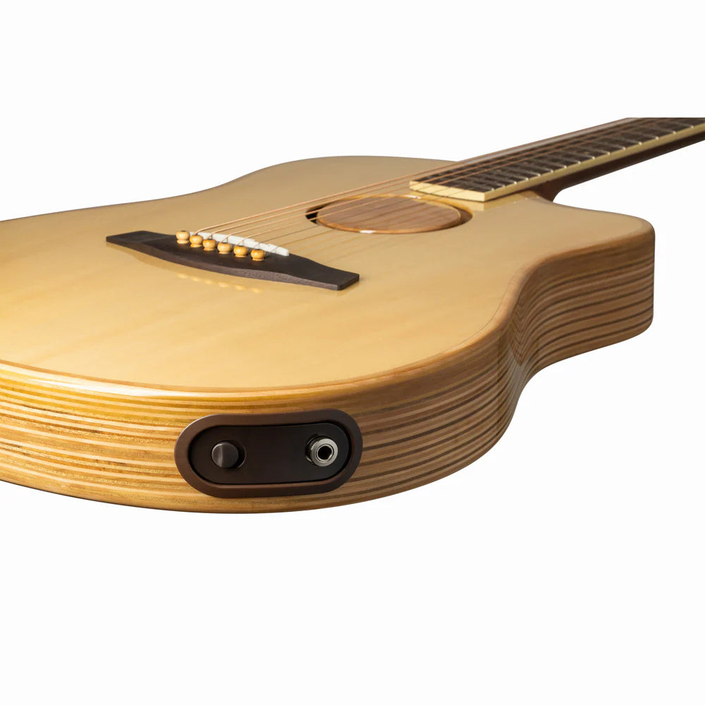 Đàn Guitar Acoustic LR Baggs AEG-1 - Việt Music