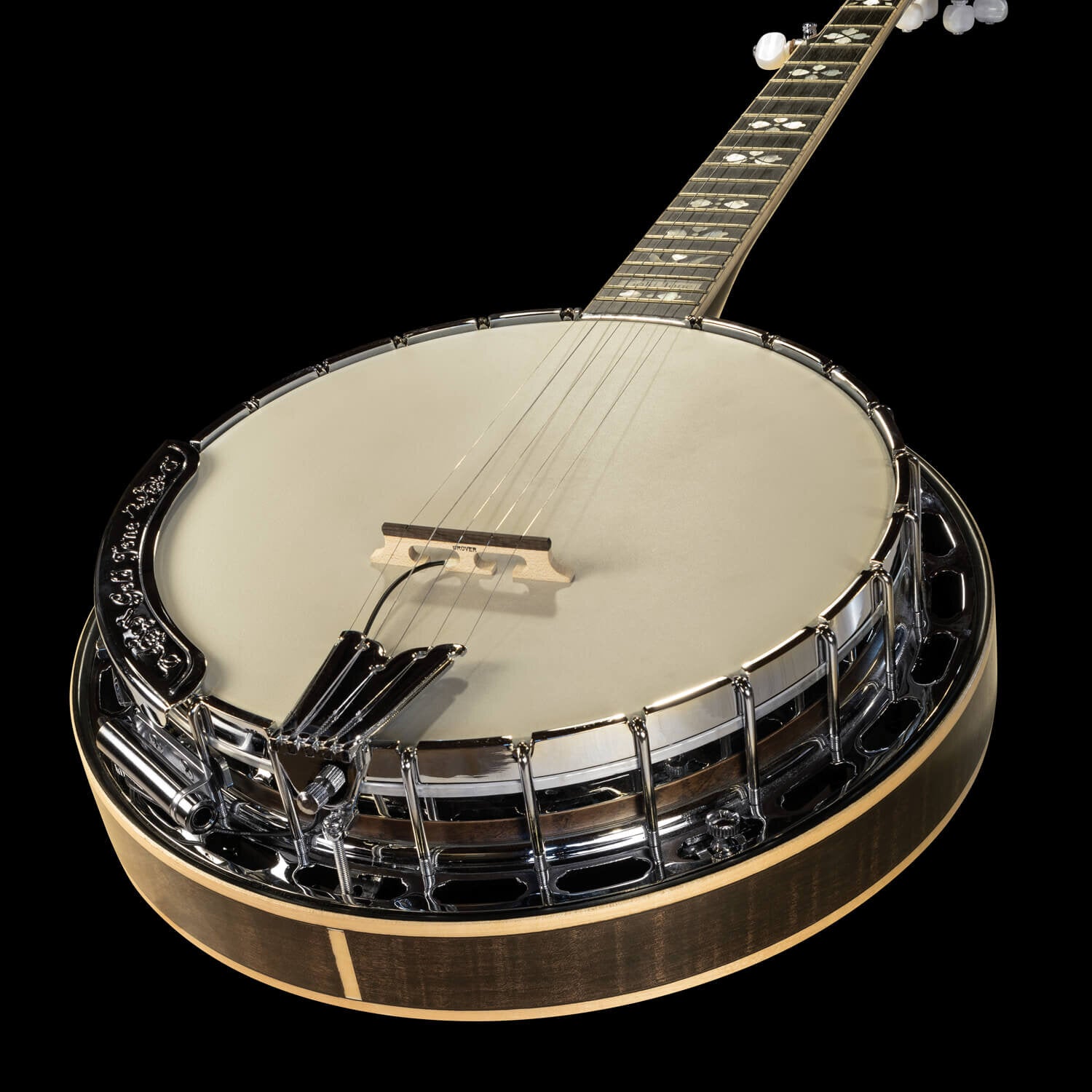 Pickup Đàn Guitar Banjo LR Baggs Tonabnehmer - Việt Music