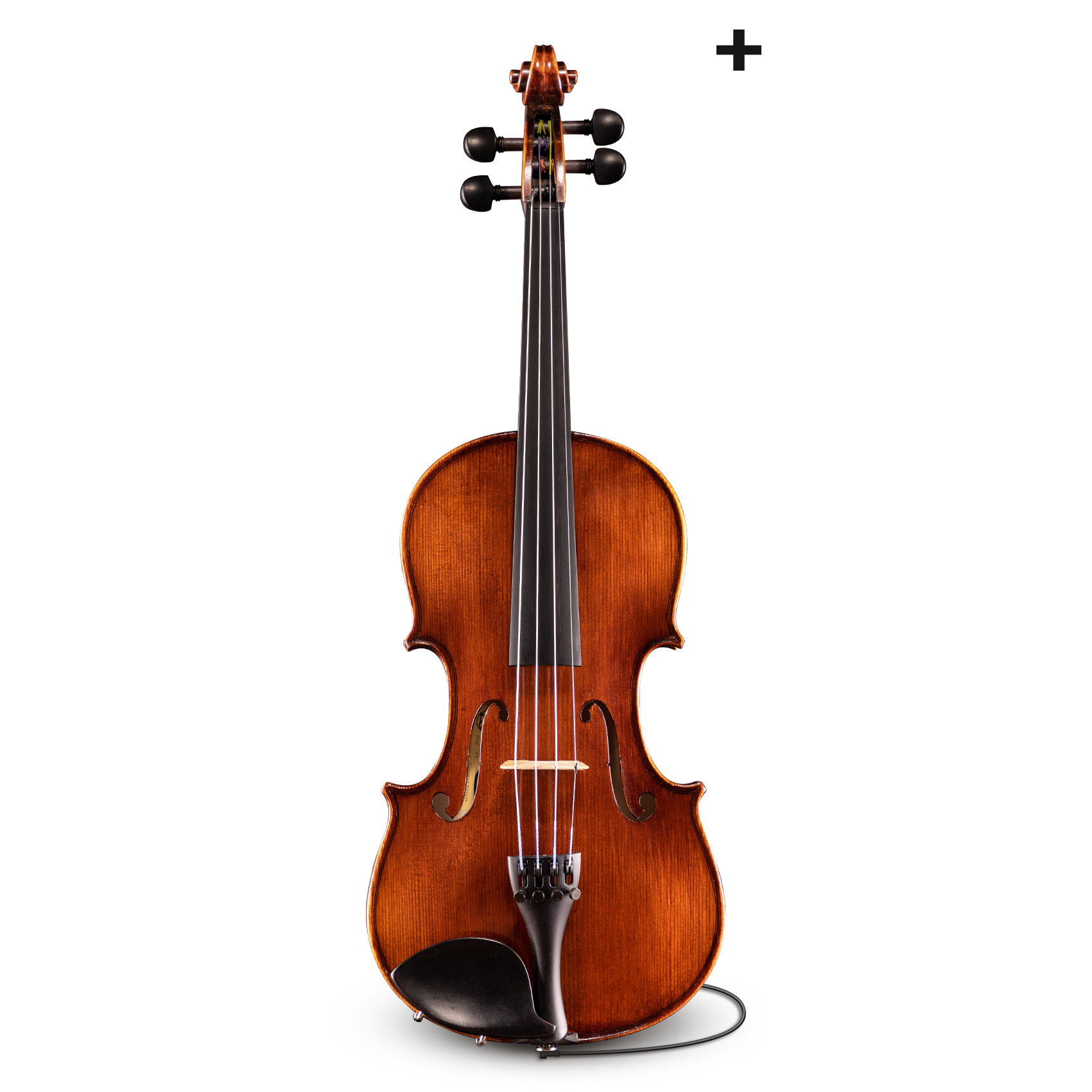 Đàn Violin Samuel Eastman Series+ VL145+ 4/4 - Việt Music