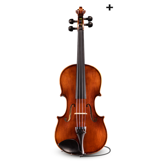 Đàn Violin Samuel Eastman Series+ VL145+ 4/4 - Việt Music