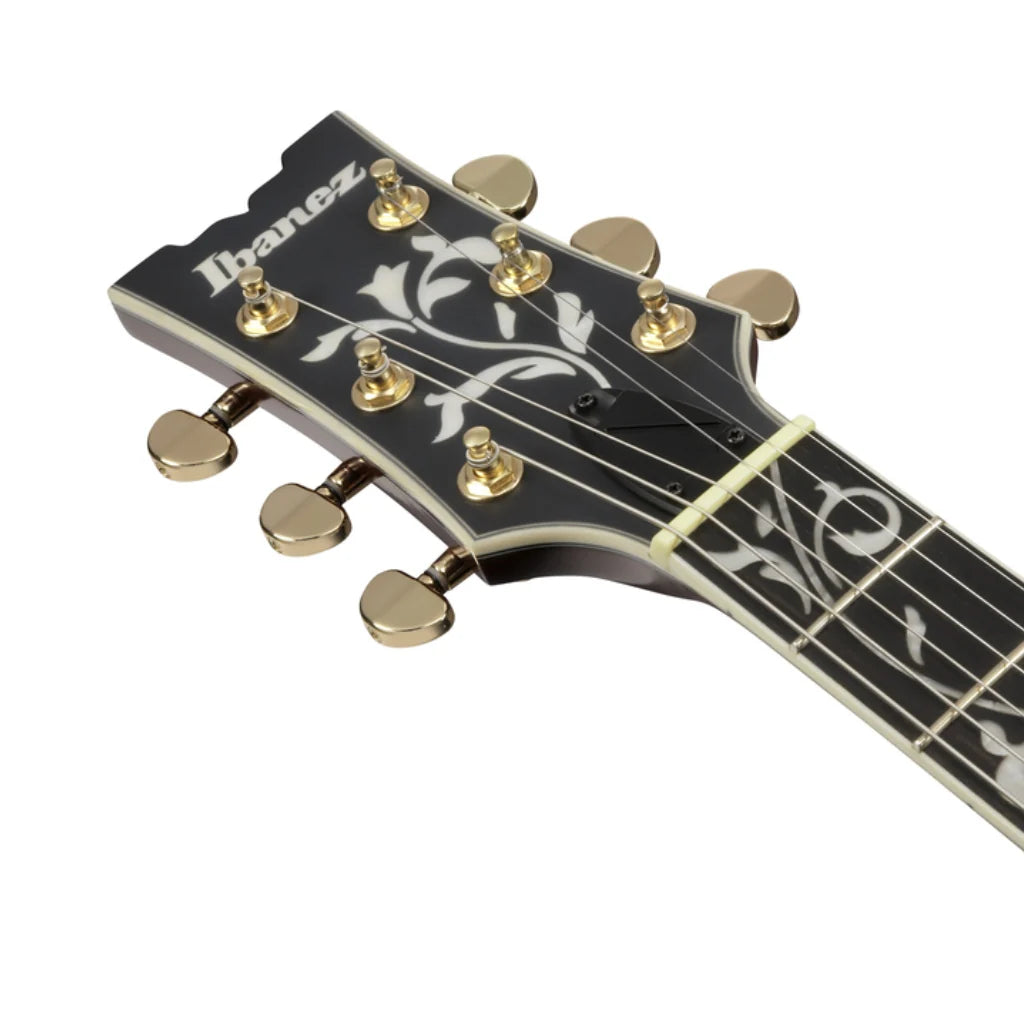 Đàn Guitar Điện Ibanez AR625FMSP HH, Ebony Fingerboard - Việt Music