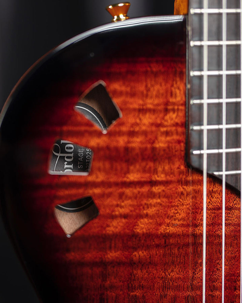 Cordoba Stage Guitar