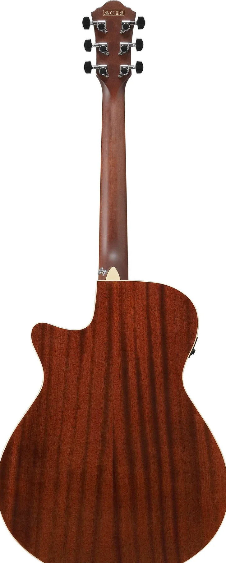 Đàn Guitar Acoustic Ibanez AEGA250 - Việt Music