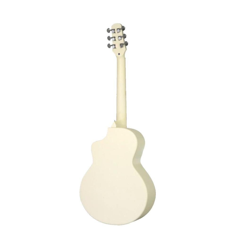 Đàn Guitar Acoustic Daisy D-100 - Việt Music