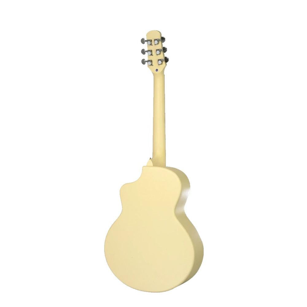 Đàn Guitar Acoustic Daisy D-100 - Việt Music