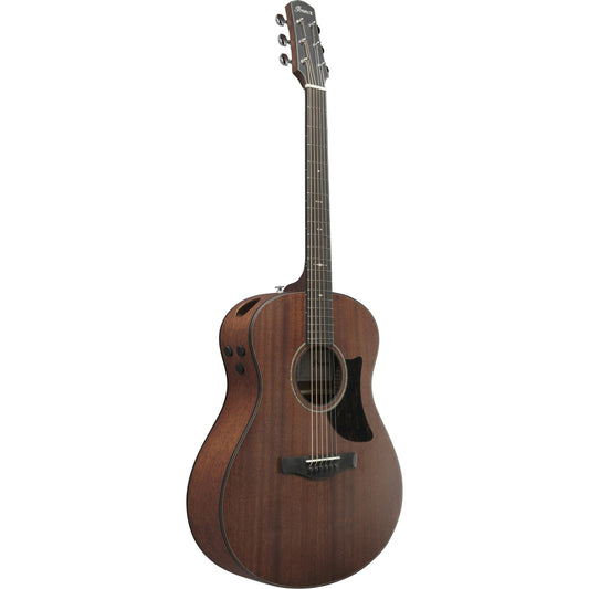 Đàn Guitar Acoustic Ibanez AAM740E Natural - Việt Music