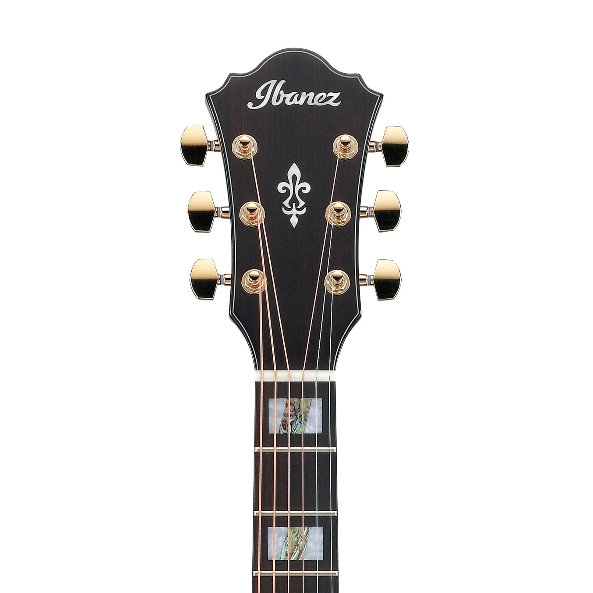 Đàn Guitar Acoustic Ibanez AE390 Natural - Việt Music