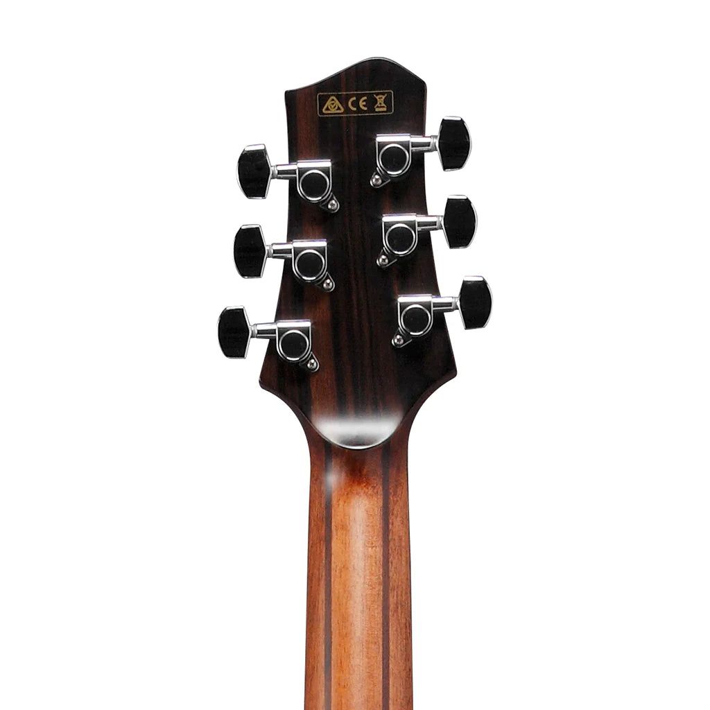 Đàn Guitar Acoustic Ibanez PA300E Natural Satin Top, Natural Low Gloss Back and Sides - Việt Music