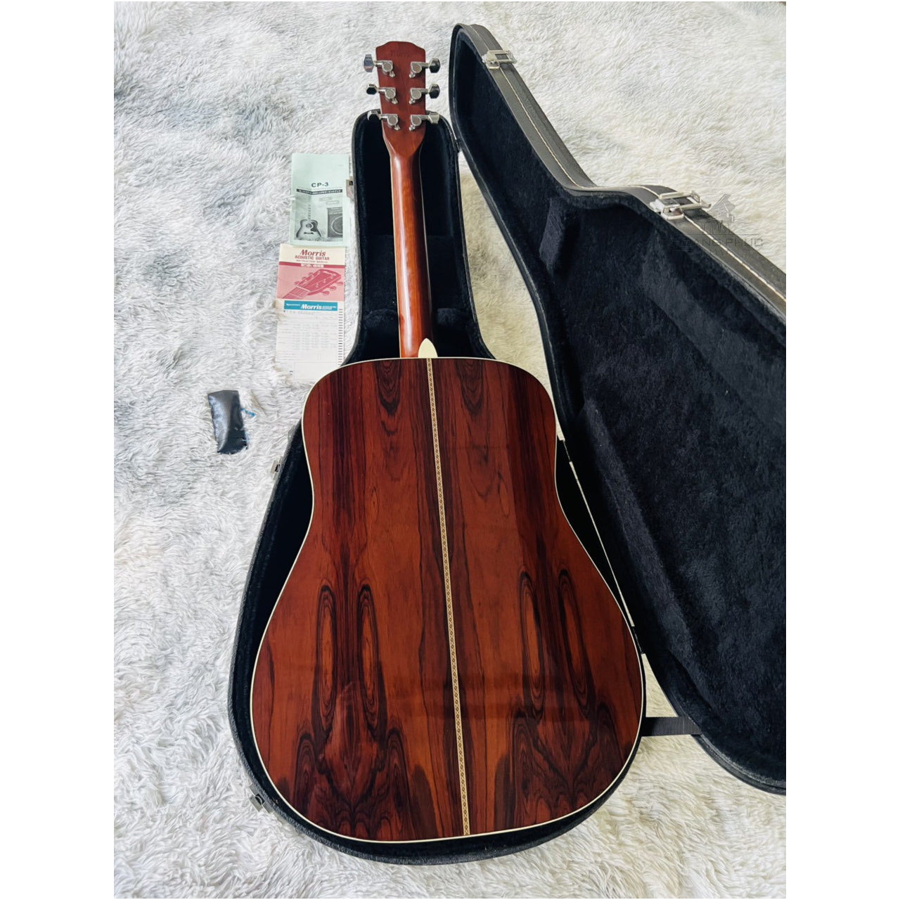 Đàn Guitar Acoustic Morris M50 - Qua Sử Dụng - Việt Music
