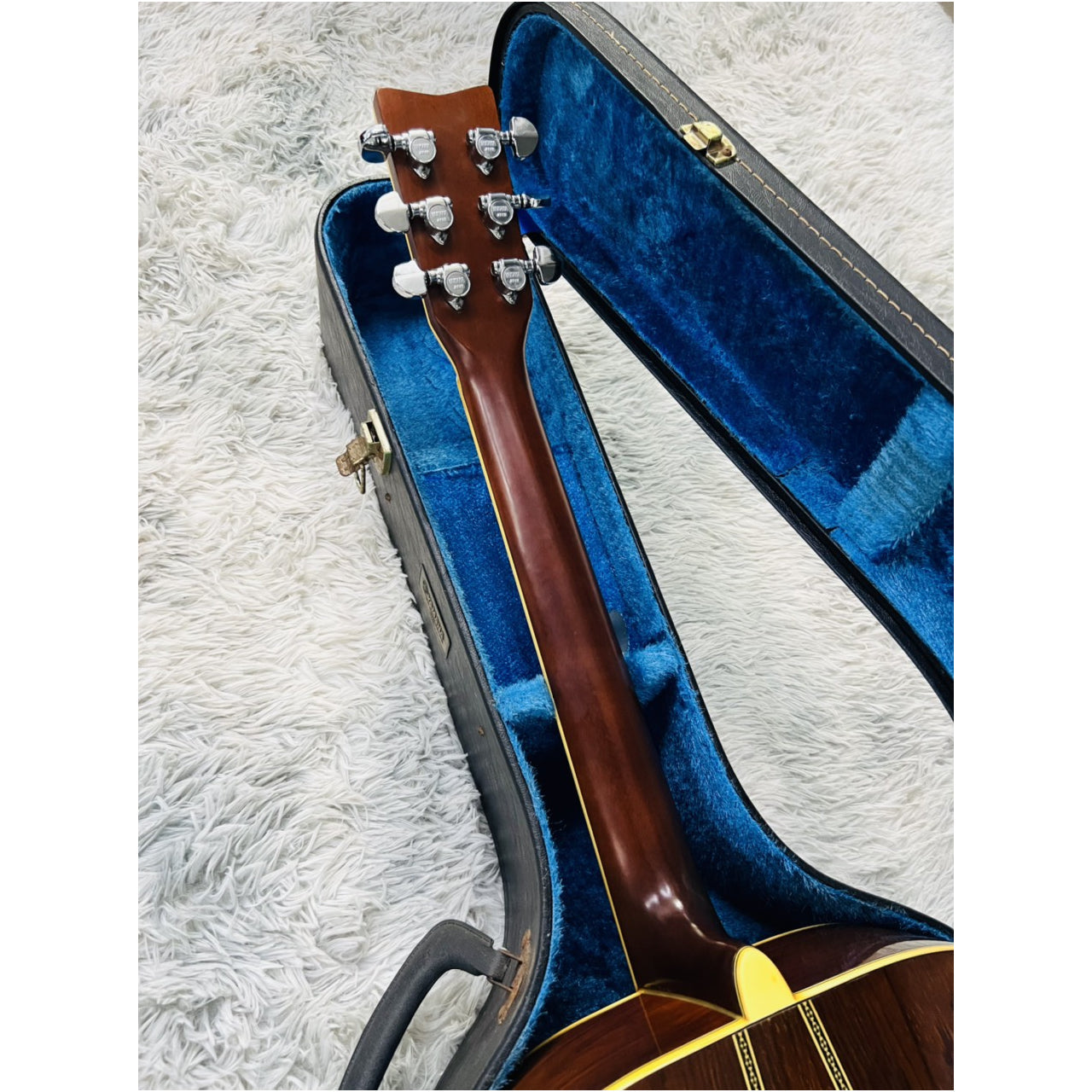 Đàn Guitar Acoustic Morris MD525 - Qua Sử Dụng - Việt Music