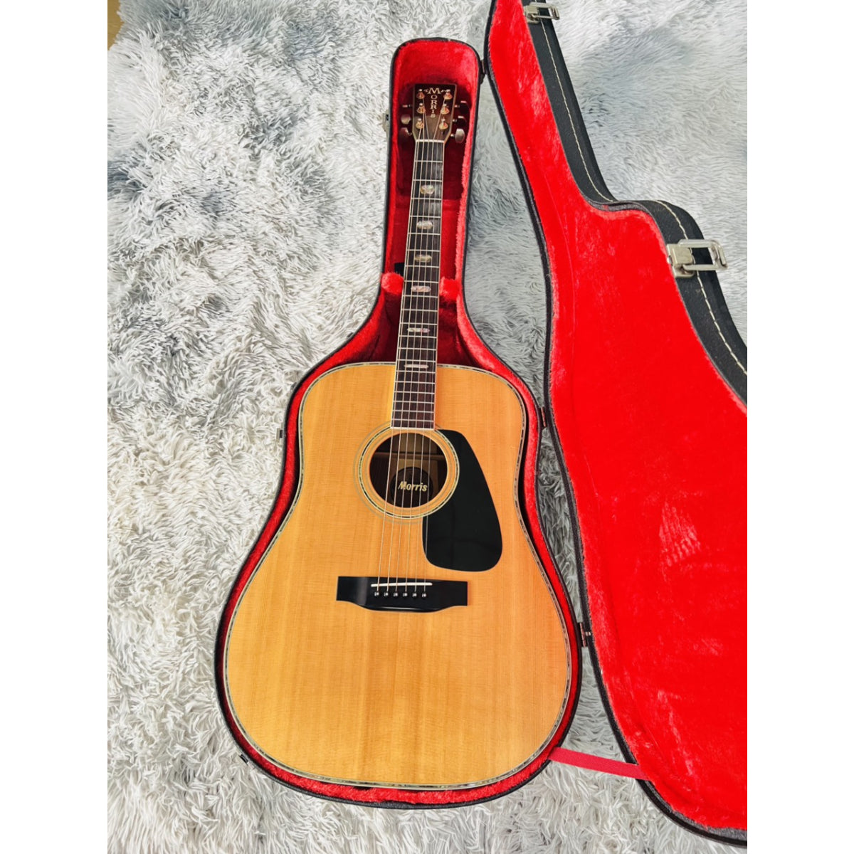 Đàn Guitar Acoustic Morris TF801 - Qua Sử Dụng - Việt Music