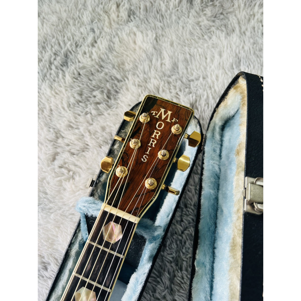 Đàn Guitar Acoustic Morris W100 - Qua Sử Dụng - Việt Music