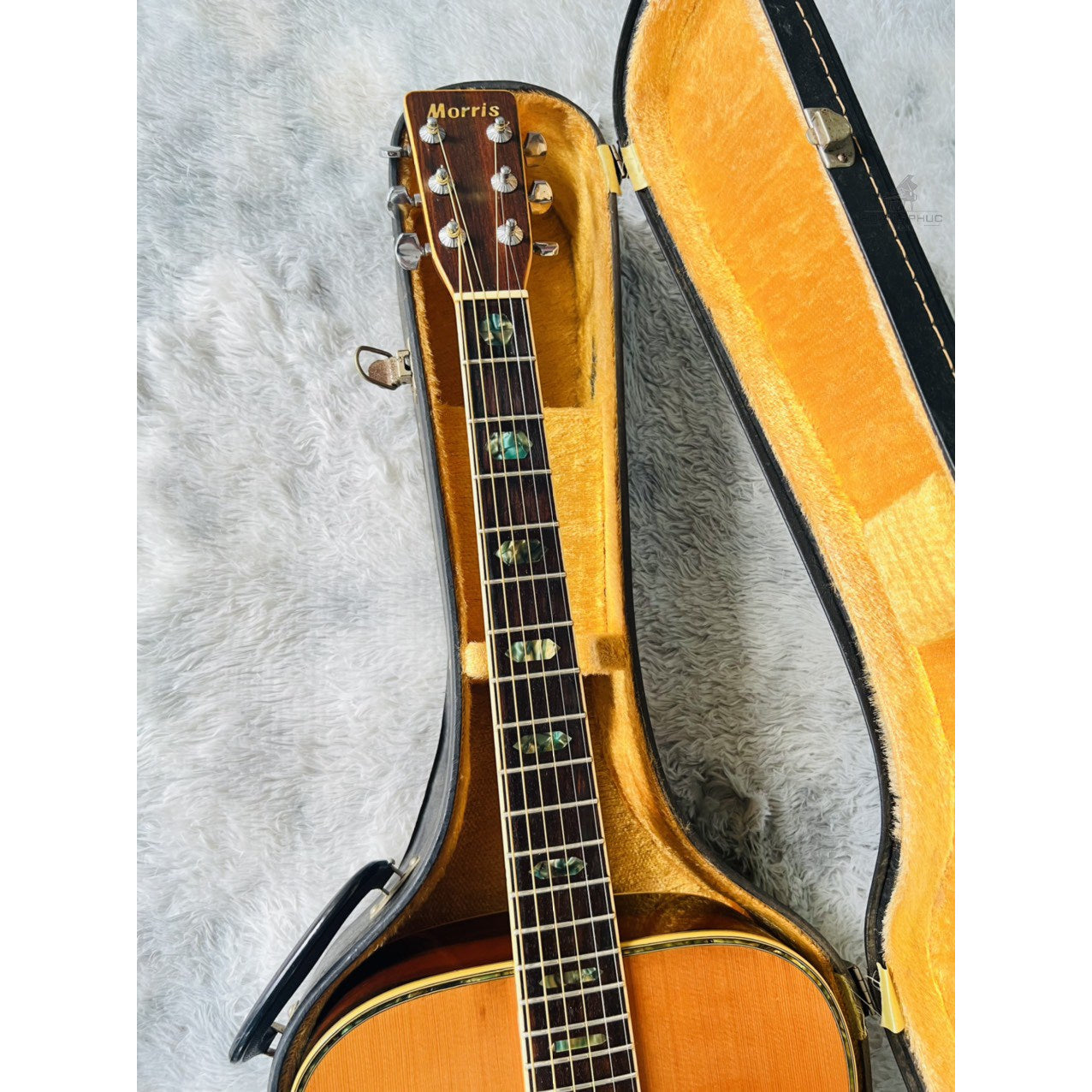 Đàn Guitar Acoustic Morris W40 1975 - Qua Sử Dụng - Việt Music