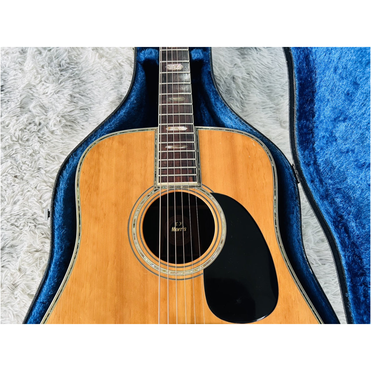 Đàn Guitar Acoustic Morris W80 1987 - Qua Sử Dụng - Việt Music